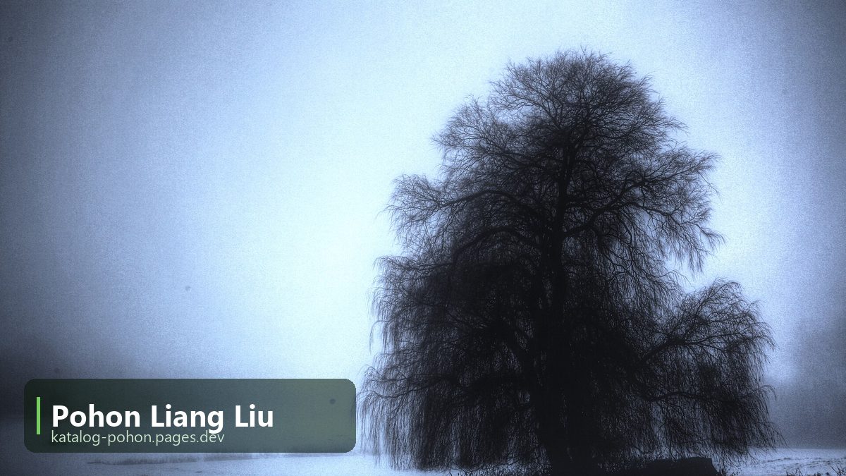 Pohon Liang Liu